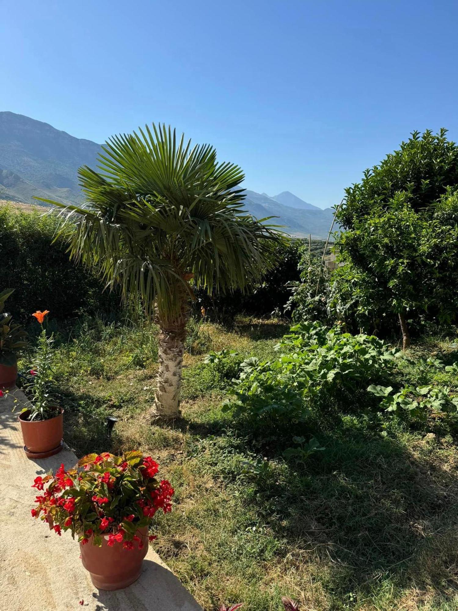 360° View Apartments Vlorë Eksteriør bilde